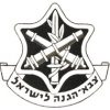 צבא הגנה לישראל